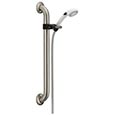 ADA compliant grab bar hand shower