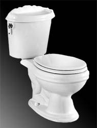 Reminiscence elongated toilet