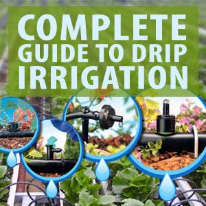 Drip Irrigation Installation Guide