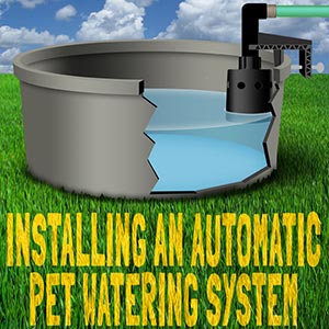 How to Install an Automatic Pet Watering System