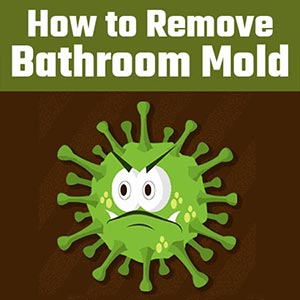 How to Remove Common Bathroom Mold