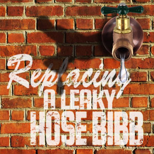 Replacing a Leaky Hose Bibb