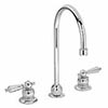 Gooseneck Symmetrix series faucet