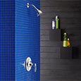 Danze pressure balance shower