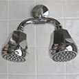 Dual shower head system