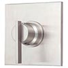 Danze thermostatic shower valve
