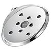 Delta classic shower head