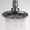 Rainfall shower head