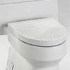 Toto specialty toilet seat