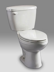 Briggs Altima Max Toilet