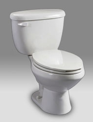 Briggs Altima Toilet