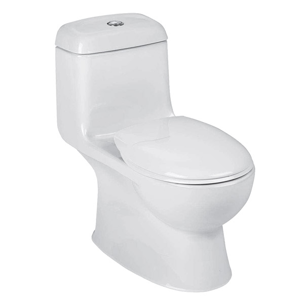 Caroma Caravelle One-Piece Toilet - before 2008