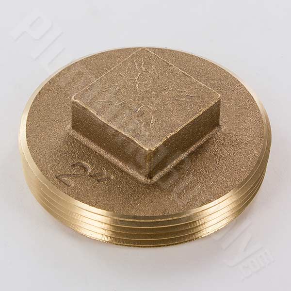 2inch raised cleanout plug