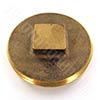 Raised head brass cleanout plug