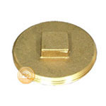 cleanout plugs