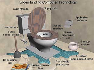 Toilet terminology funny graphic