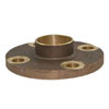 Companion Flange