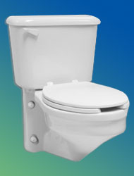 Rexmont wall hung toilet
