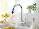 Danze kitchen faucet