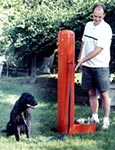 Dog drinking fountain with add-on shower