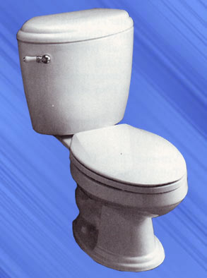 Century Series Toilet