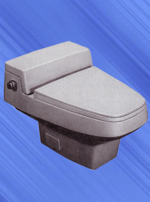 Patrician Series Toilet
