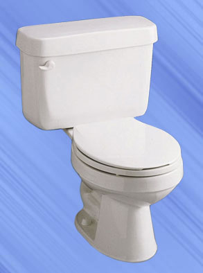 Toronto Savoy series toilet