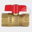 gas shut-off valve