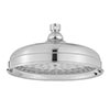 Lorenzo raincan showerhead