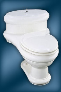 Kohler one-piece Revival toilet