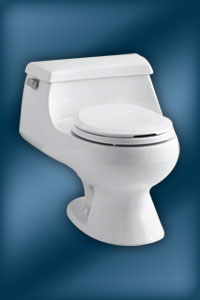 Kohler Rialto Toilet - K-3386