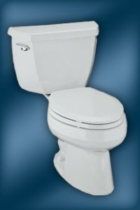 Wellworth K-3422 Toilet