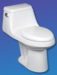 Aegean toilet