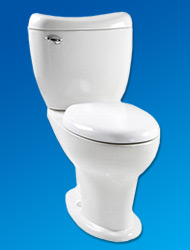 Reo toilet