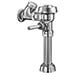 Royal 100 Series Flushometer
