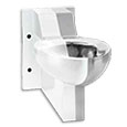 ADA compliant stainless toilet with powdercoat example