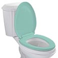 Colored toilet seat