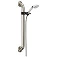 ADA compliant grab bar hand shower