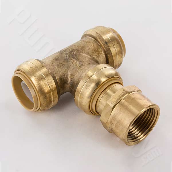 Sharkbite Female Center Tee