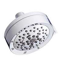 Danze Parma designer shower head