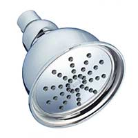 Danze Eterno designer shower head