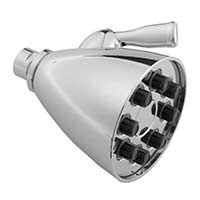Storm shower head