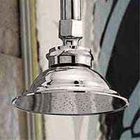 Sign of the Crab old fashioned watering can shower head