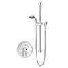 Symmons Dia Handshower System