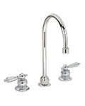Gooseneck Symmetrix series faucet