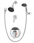 Visu-Temp shower/handshower system