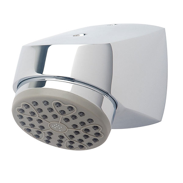 Symmons institutional shower head
