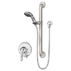 Symmons Origins Handshower System