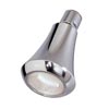 Symmons Clear-Flo showerhead