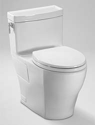 Aimes contemporary toilet